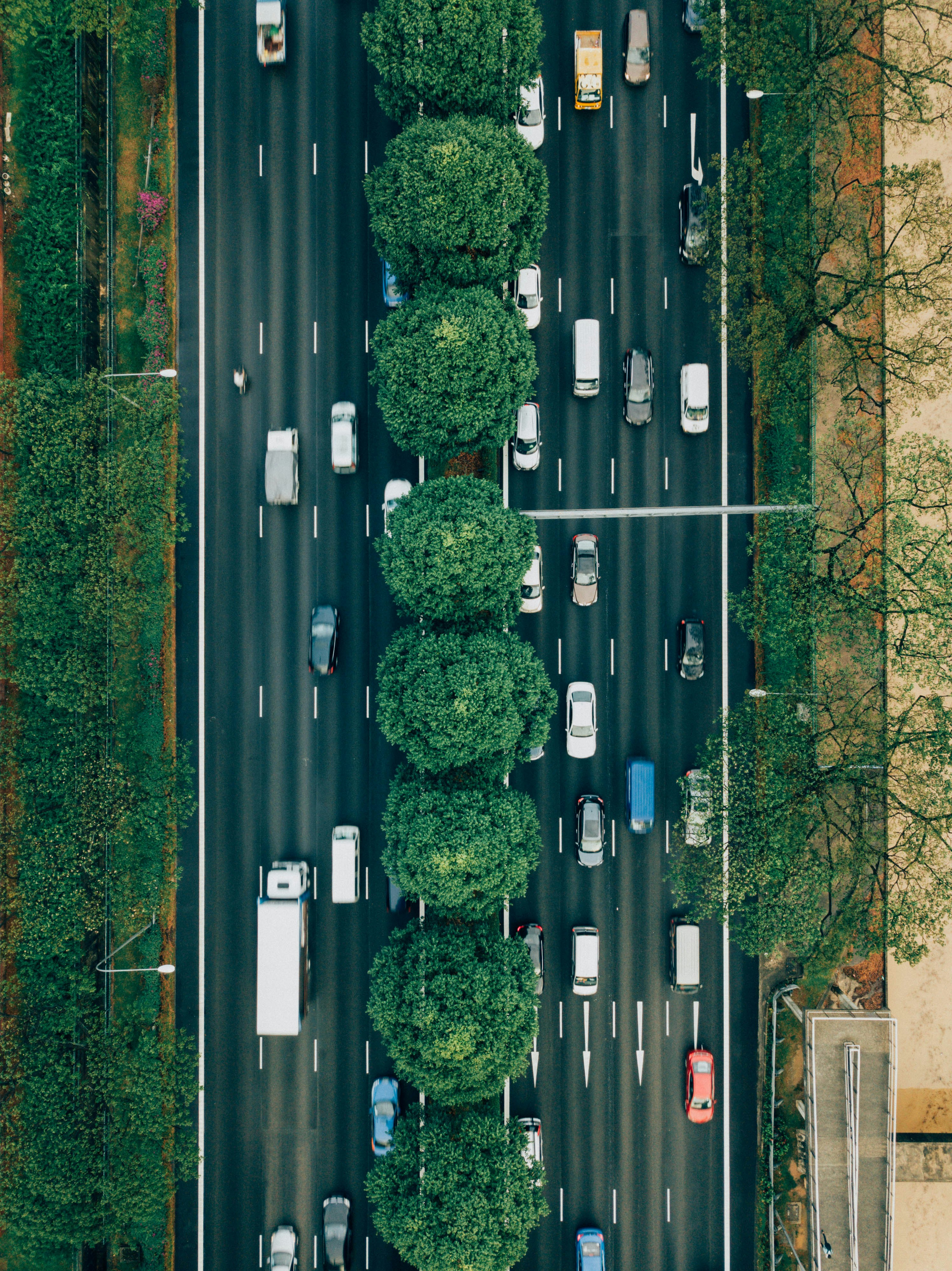 California Smog Check Pricing in 2025: Your Guide to Costs and How to Save